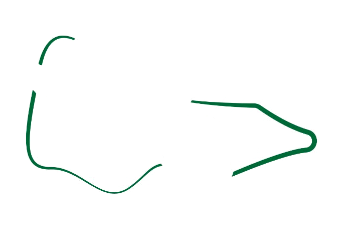 victorian-sheep-show-logo